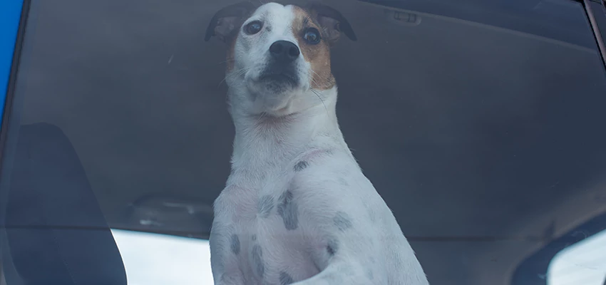 Car Lockout Solutions in Yucaipa, California